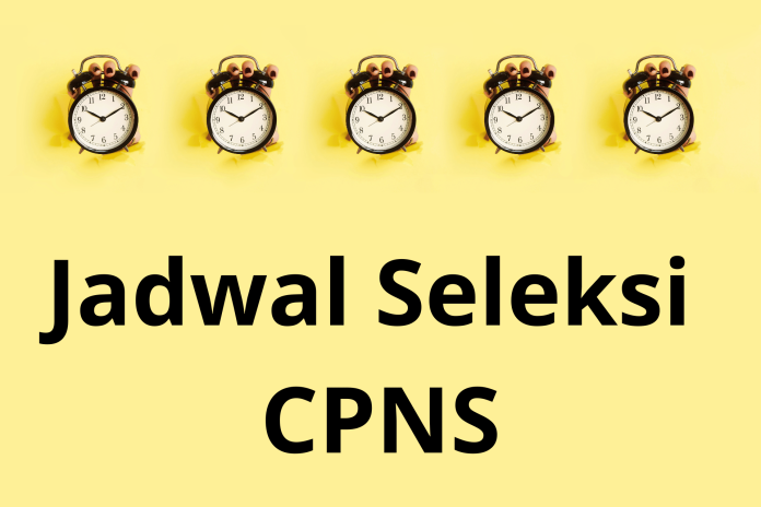 Jadwal Resmi Seleksi CPNS dan PPPK 2023
