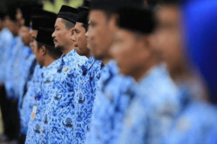 Jurusan-Jurusan Unggulan untuk Daftar CPNS 2023 - Setelah pengumuman formasi CPNS 2023, para lulusan S1