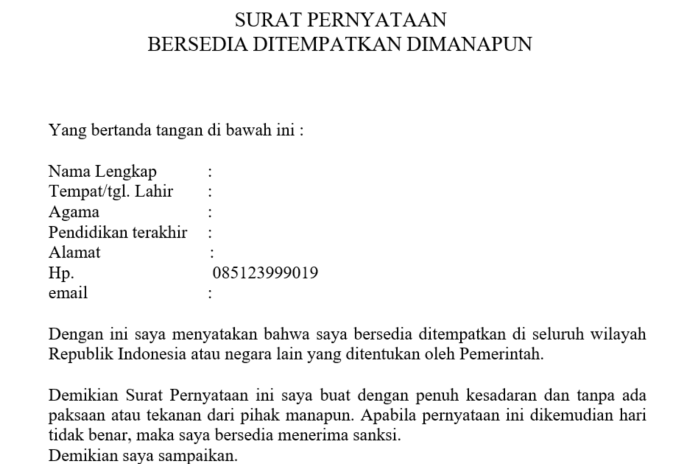 Contoh Surat Pernyataan Penempatan Dimanapun CPNS